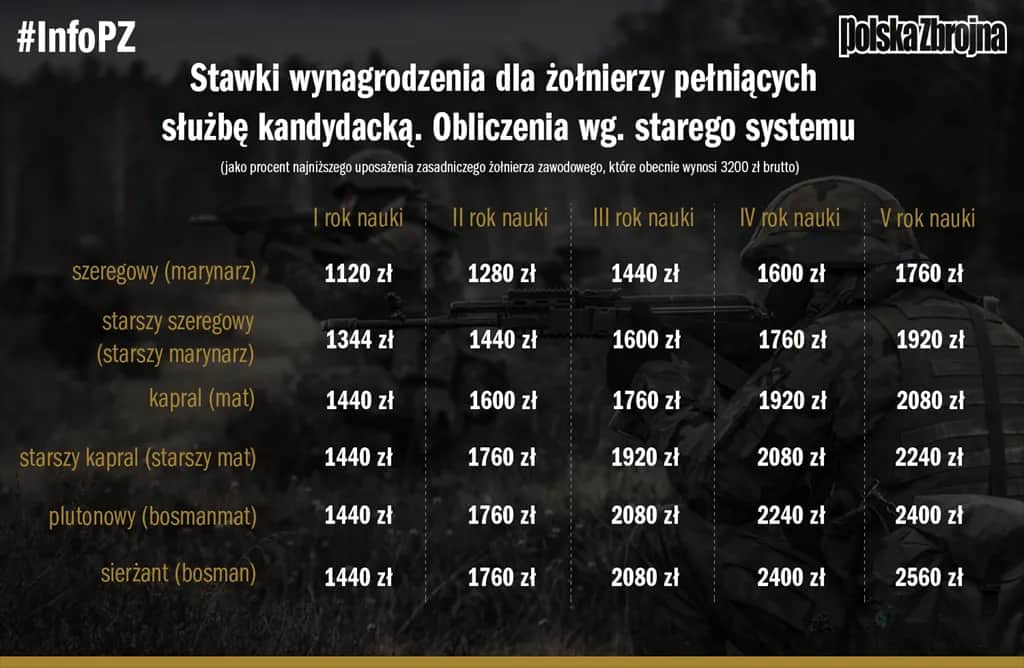 Zarobki doradcy zawodowego: Mediana, widełki i jak je zwiększyć?